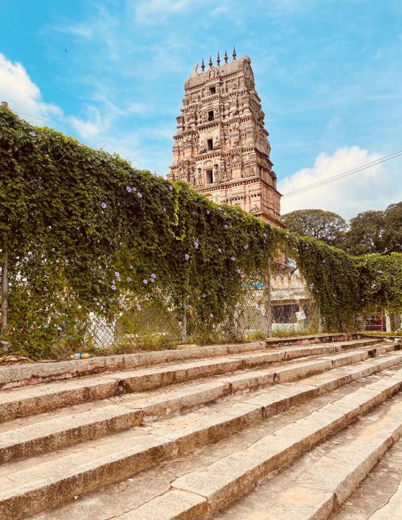 Main entrance view of Ammapally as seen from the stepwell
